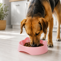Dog eating from a pink cat-shaped slow feeder pet bowl